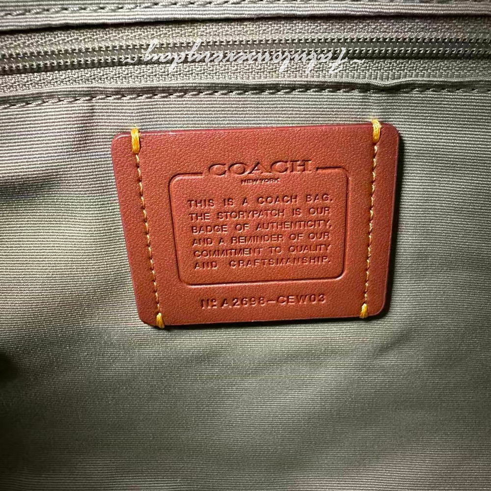 Coach Rowan Satchel Bag Crossbody In Signature Leather Gold/Pistachio CEW03 NWT - Picture 5 of 6